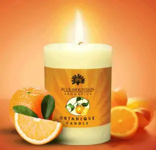 Ortanique  Pillar candle (15oz)