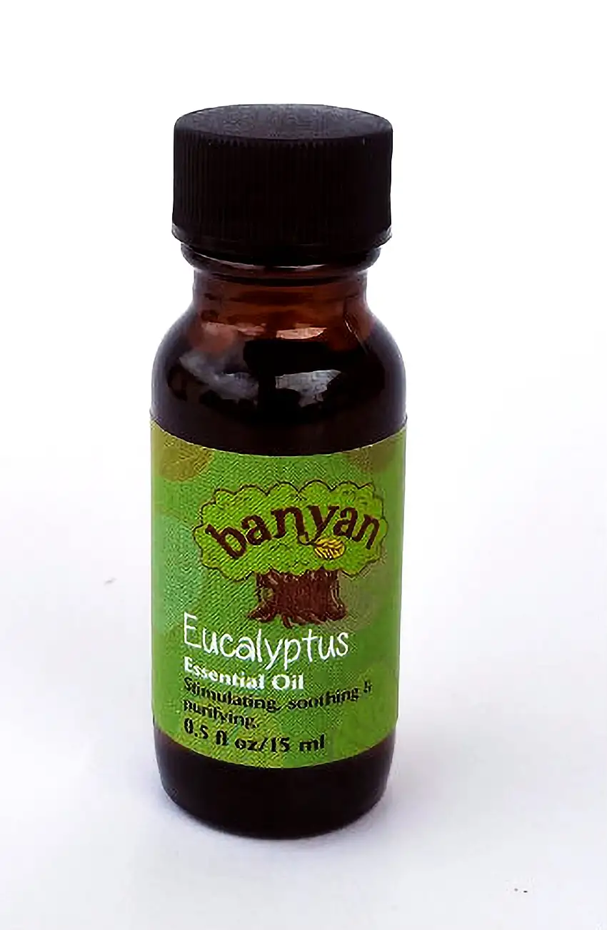 Eucalyptus  Essential oil