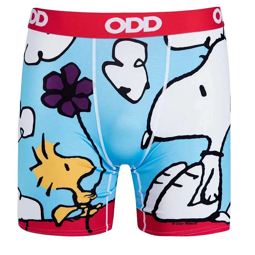 On The Dog House - Mens Boxer Briefs-Small