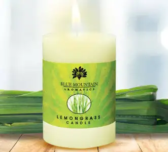 Lemongrass  Pillar candle (15oz)