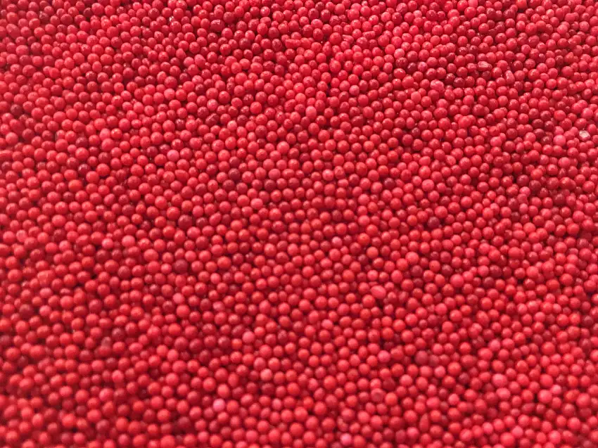 Red Nonpareils