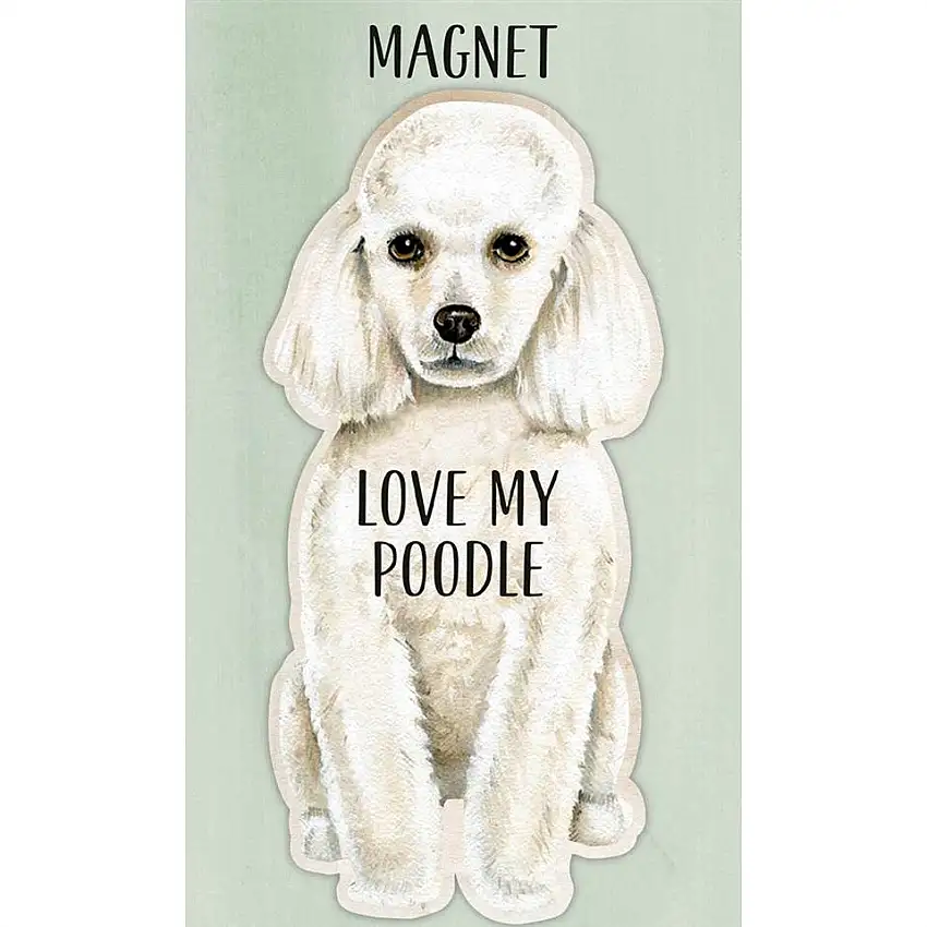 Magnet- Poodle