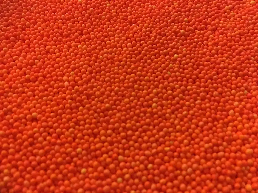 Orange Nonpareils