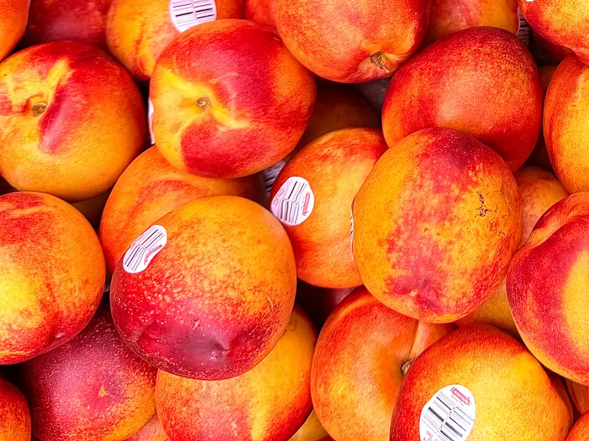 🟦 Fresh Nectarine - 1 Pound (Shalil)