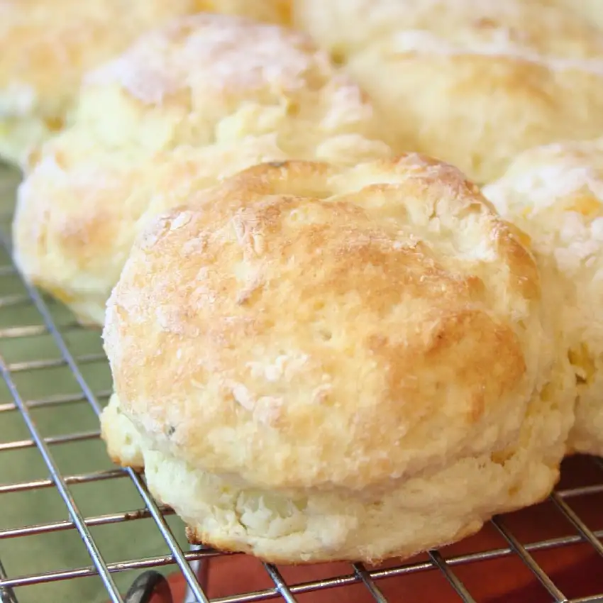 Classic Buttermilk Biscuit Mix (bulk 3lb economy size)