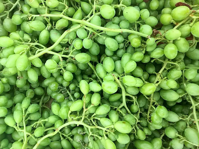 🟦 Fresh Sour Grapes - 1 Pound (Ghooreh, Ghoureh)