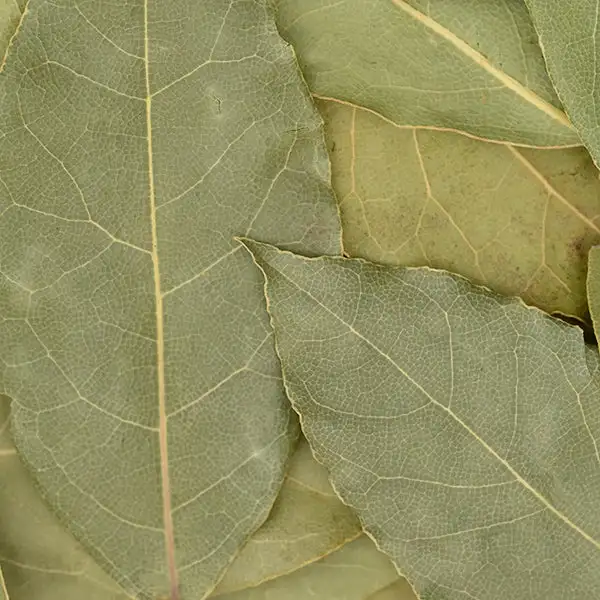 Bay Leaves Whole