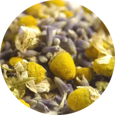 Chamomile Lavender