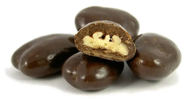 Dark Chocolate Covered Walnuts