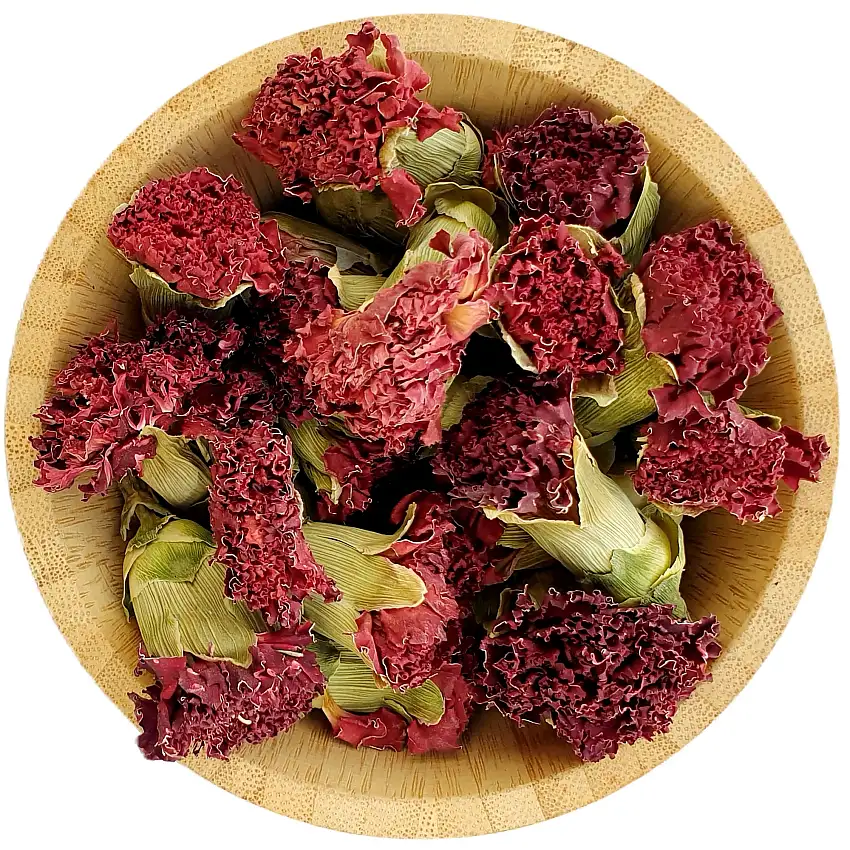 Carnation Flowers