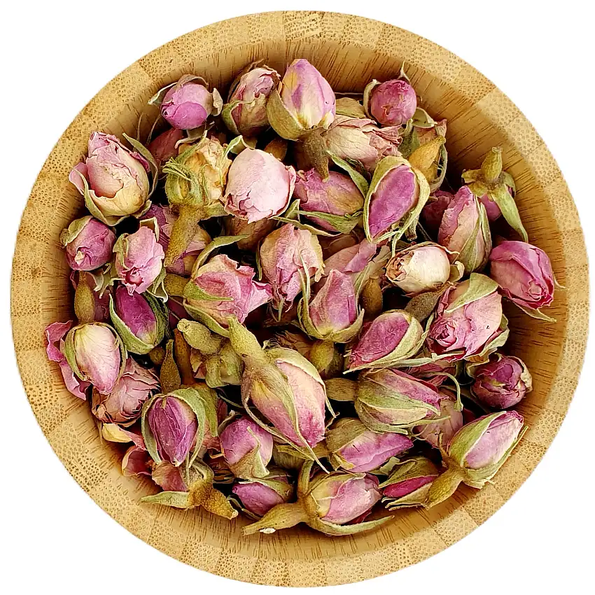 Pink Rose Buds