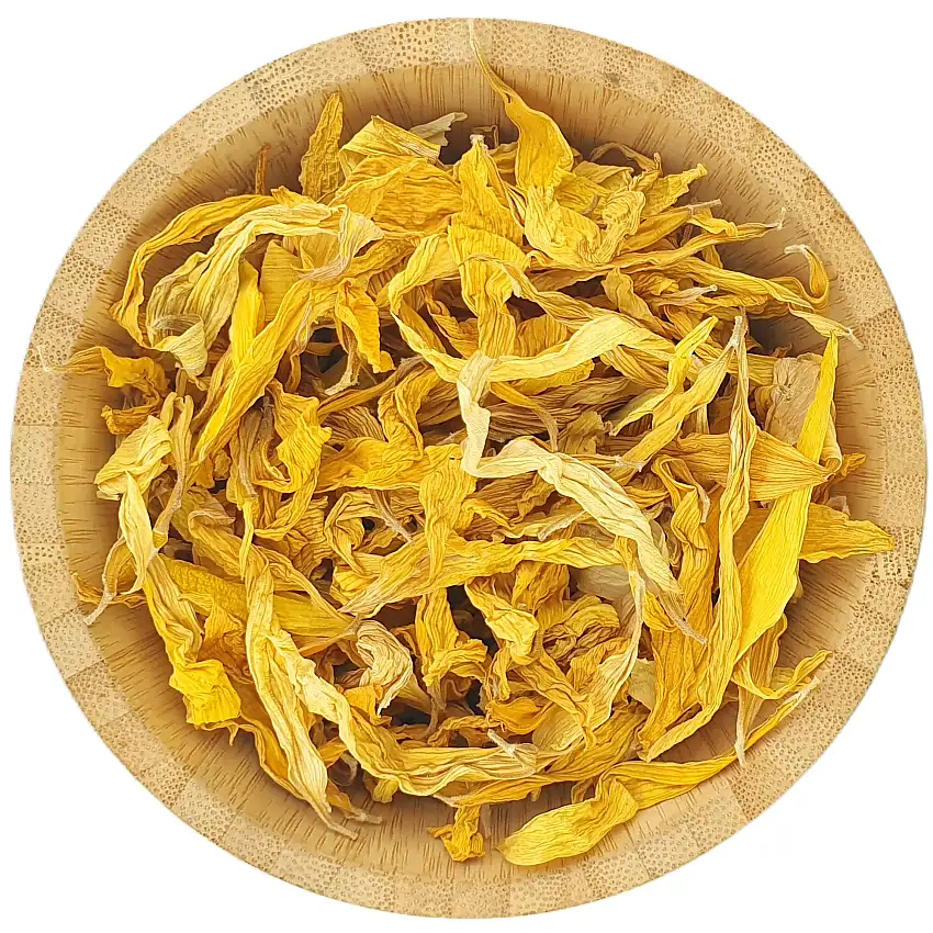 Sunflower Petals