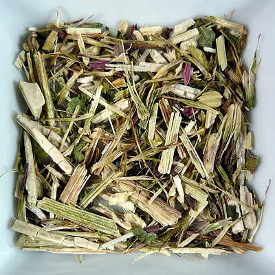 Echinacea