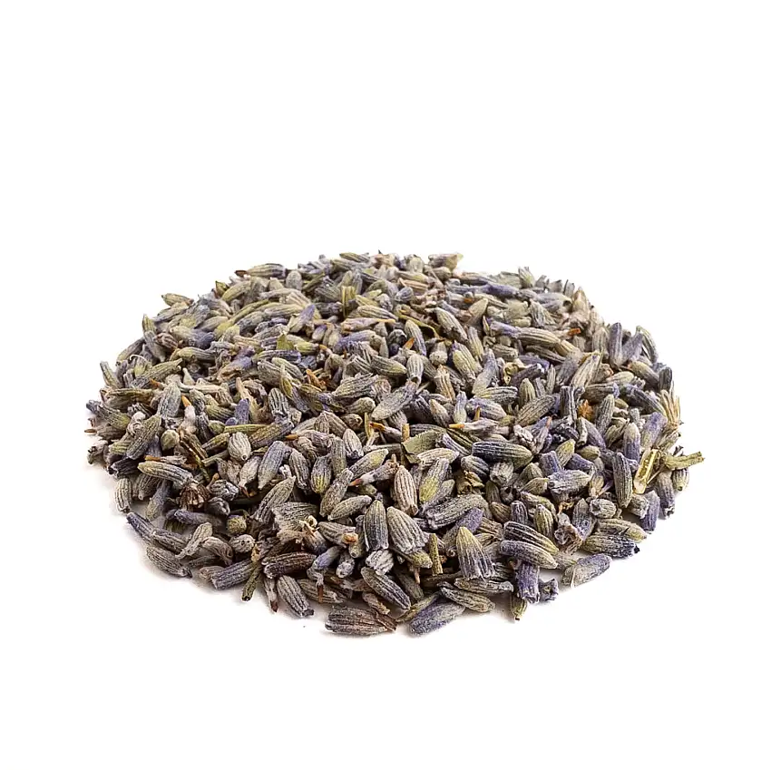 French Lavender Flowers