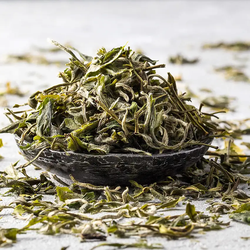 Glorious Green Tea Sampler Set