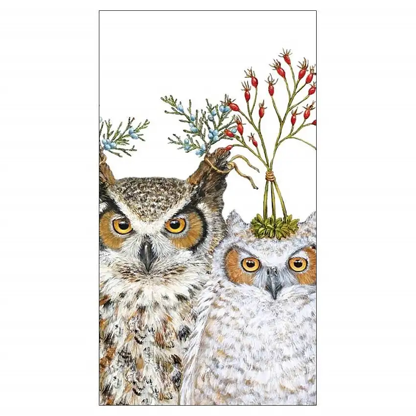 Holiday Hoot Guest Towels