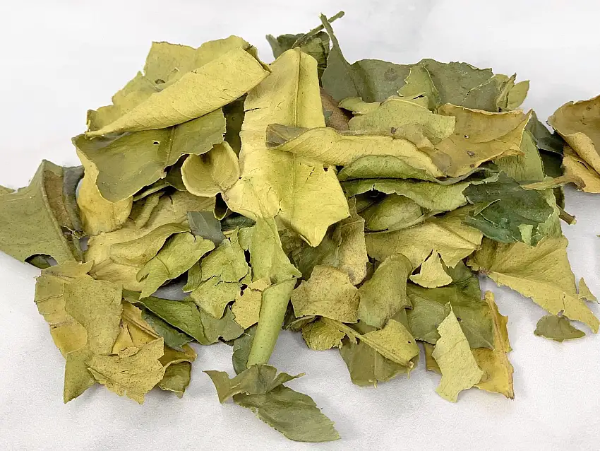 Makrut Lime Leaves, Whole