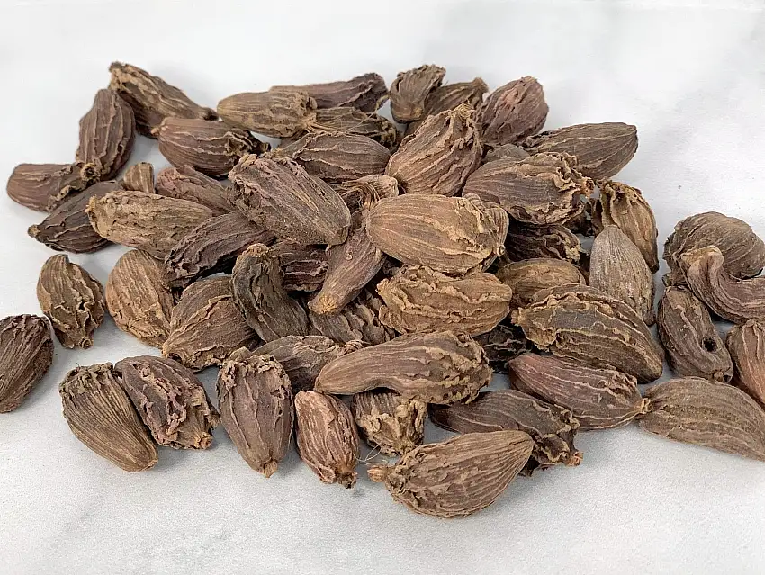 Black Cardamom Pod