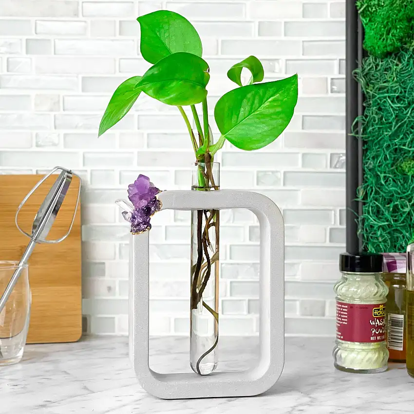 AMETHYST PROPAGATION STATION
