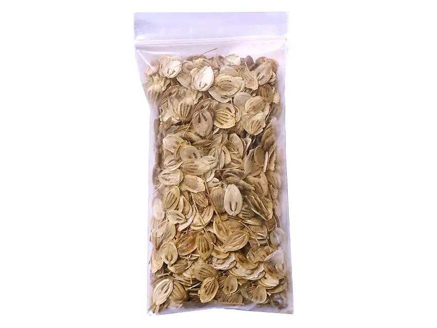 Organic Angelica (20 Grams) (Golpar)