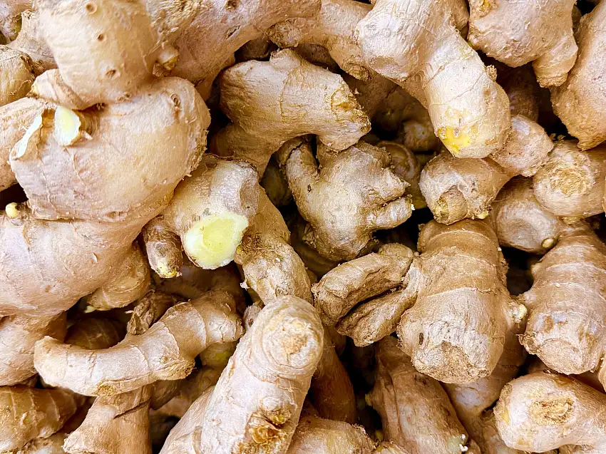 Fresh Ginger Root (1 Pound) Zanjebil Tazeh