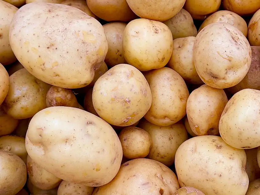 Fresh Potato (1 Pound) (Sib Zamini)(Seeb)