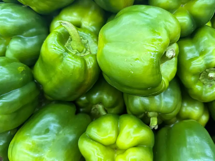 Fresh Bell Pepper (1 Pound) (Felfel Dolmeh)(Dolma)