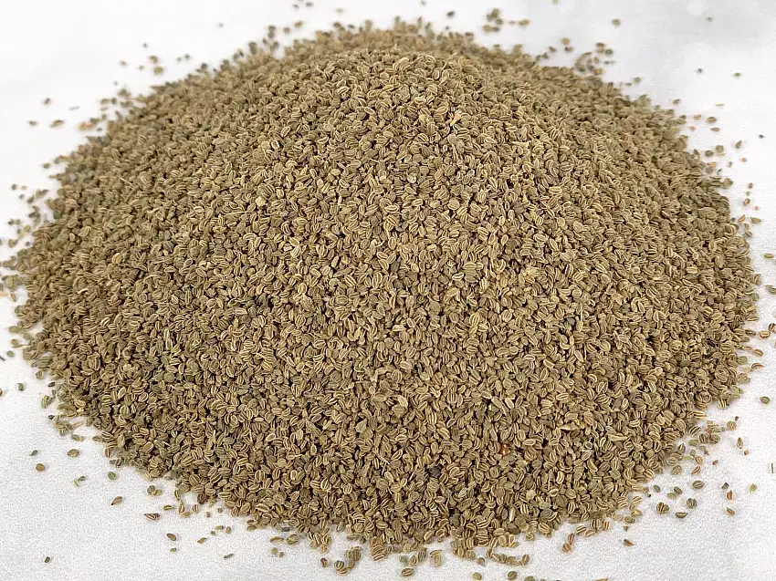 Celery Seed