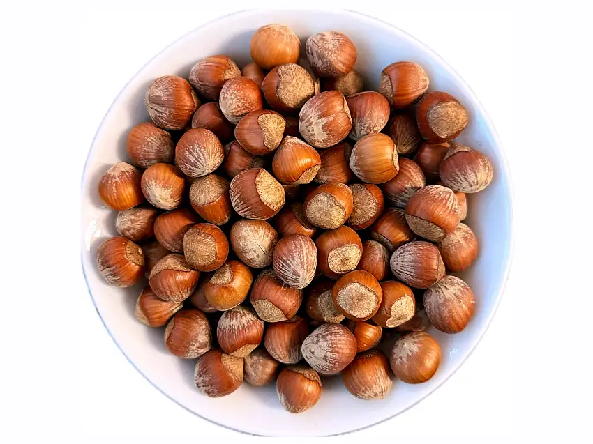 Fresh Filbert(Hazelnut) (1 Pound)