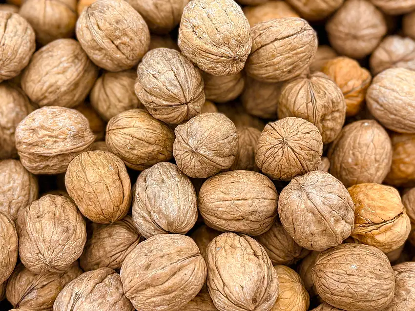 Dried California Walnut - In Hard Shell - 1 Pound (Gerdoo)