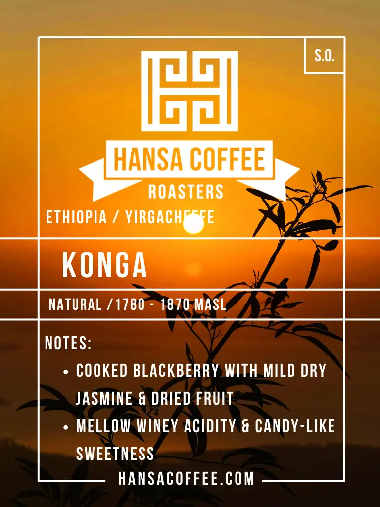 Ethiopia - Konga - Yirgacheffe Natural