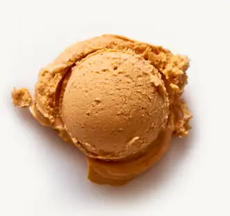 Nancy Fancy Pumpkin Brandy Ice Cream Pint