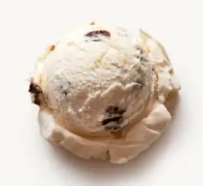 Nancys Fancy Rum Raisin Ice Cream Pint