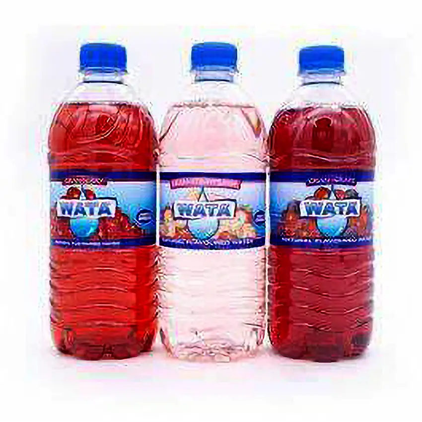 WATA CRANBERRY FLAVOURED ASSRT. 600ML (pk 3)