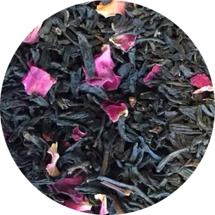 Sophia Blend