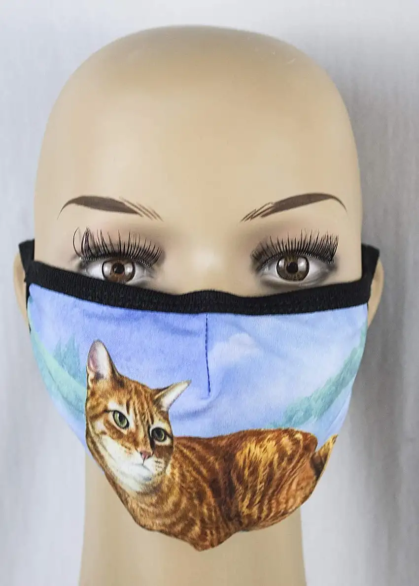 Tabby Orange Cat Face Mask