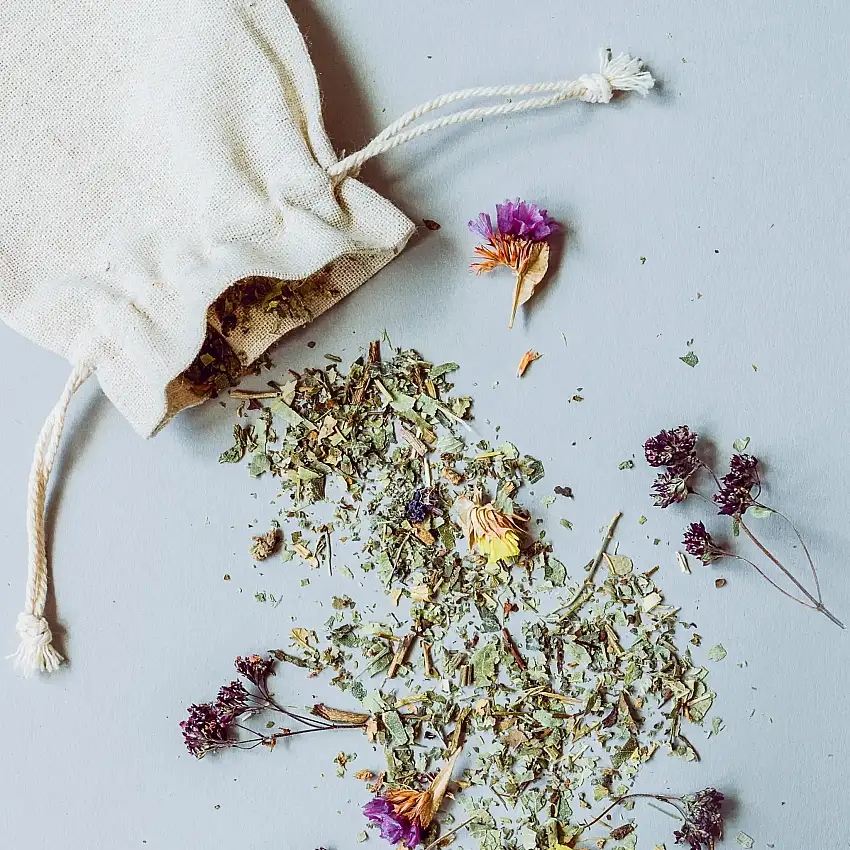 Wellness Collection Sampler Set