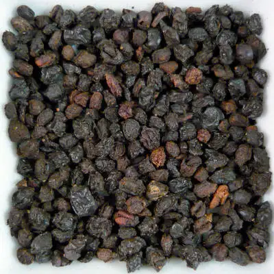 Wild Elderberry