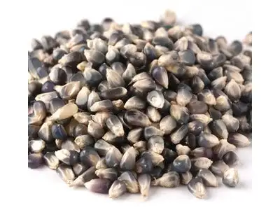 Black Jewel Popcorn Kernels