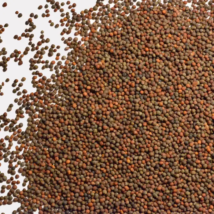 Broccoli Seeds