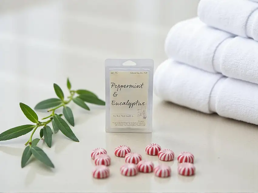 Peppermint & Eucalyptus Wax Melts