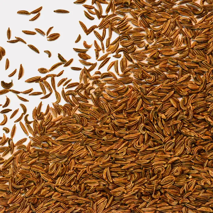 Caraway Seeds Organic