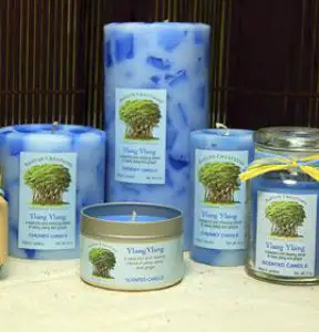 Ylang Ylang Scented Candle Set (B)