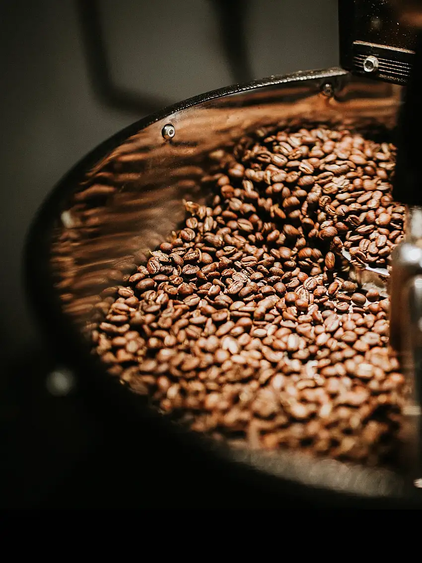 Guatemala SHB Genuine Antigua Coffee - 1 lb (16 oz)