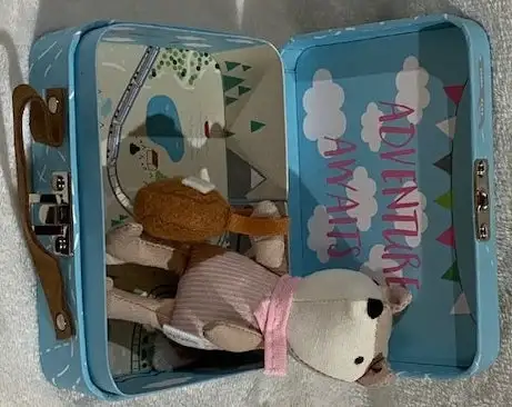 Fox - Travel Girl