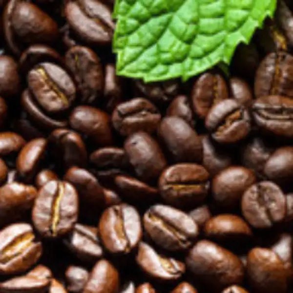 Blackberry Cream Coffee - 1 lb (16 oz)