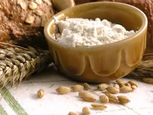 Closeout!  Hi-Country Wheat Gluten Economy Size