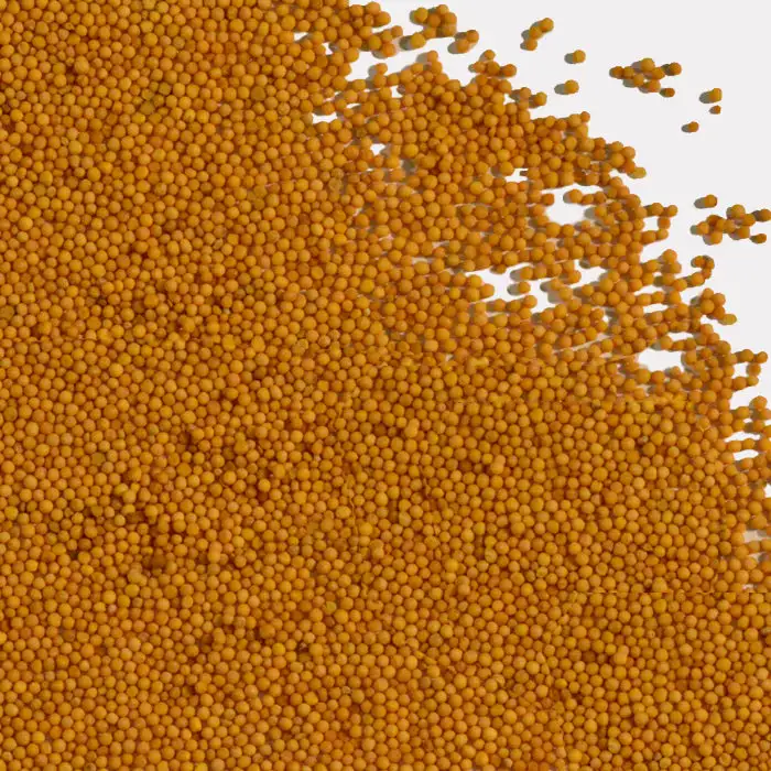 Yellow Mustard Seed Organic