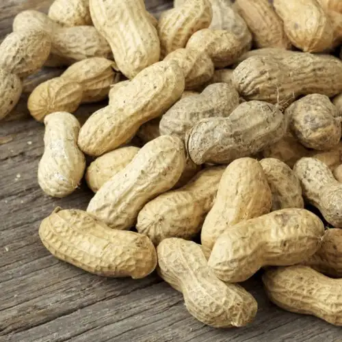 Fresh Roasted Peanuts