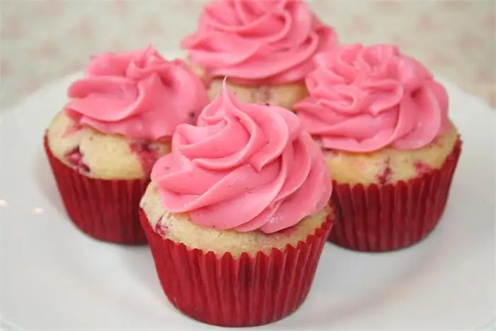 Raspberry Cream Cheese Frosting Mix